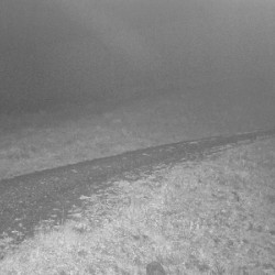 Webcam Gimpling / Unken - Heutal