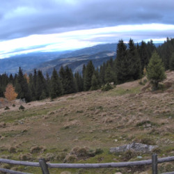 Webcam Grillitschhütte 1710 m / Trahütten